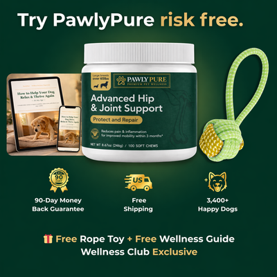 Advanced Hip & Joint Support