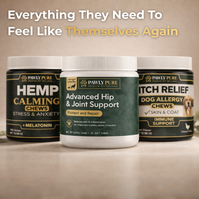Complete Wellness Bundle