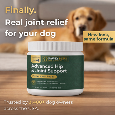 Advanced Hip & Joint Support