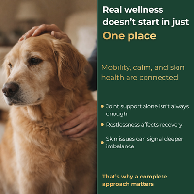 Complete Wellness Bundle
