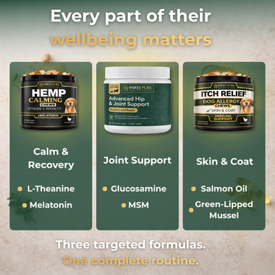 Complete Wellness Bundle