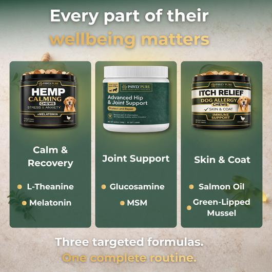 Complete Wellness Bundle