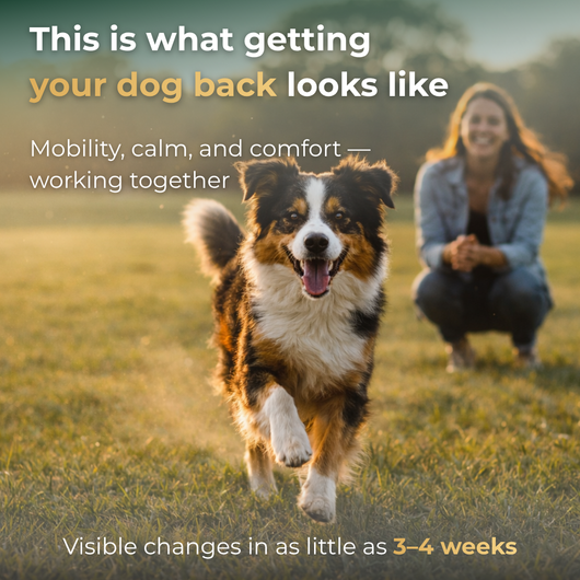 Complete Wellness Bundle