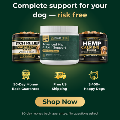 Complete Wellness Bundle