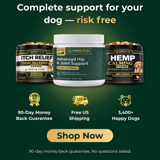 Complete Wellness Bundle