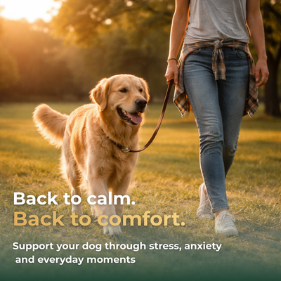 Calming & Stress Relief