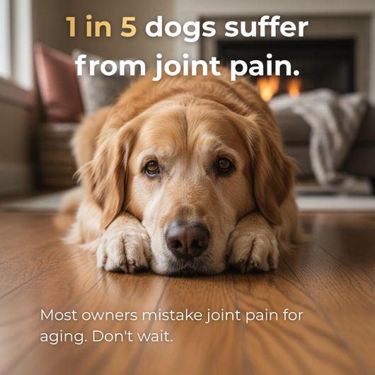Advanced Hip & Joint Support