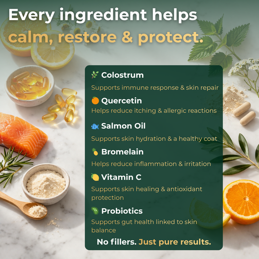 Skin, Coat & Immunity